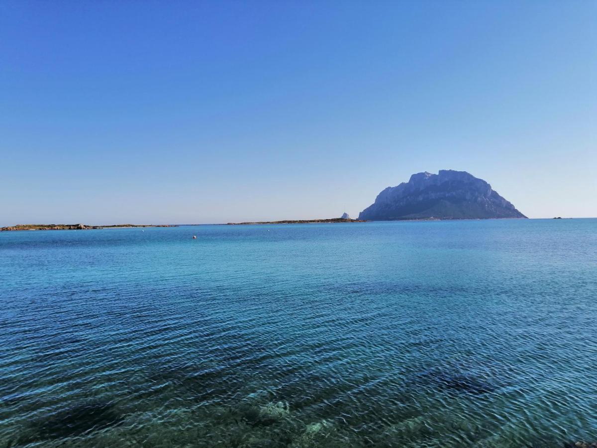 Aria Di Vacanza - Molara Loiri Porto San Paolo Eksteriør bilde